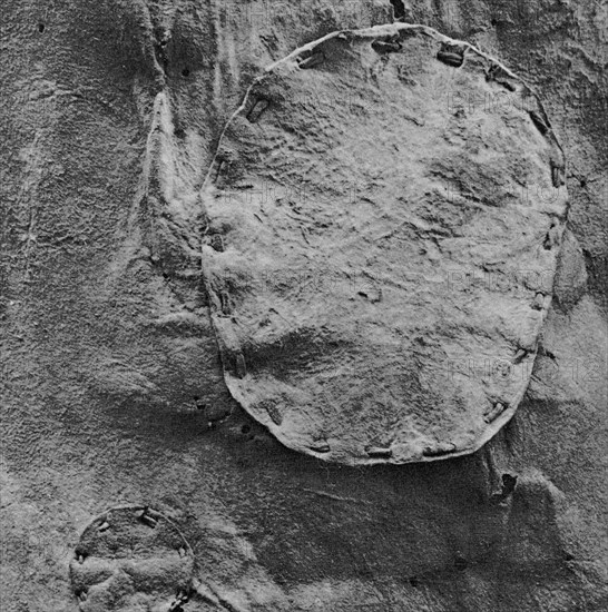 COSIDOS EN LA PIEL DE CABRA-EXCAVACIONES BAR KOKHBA

This image is not downloadable. Contact us
