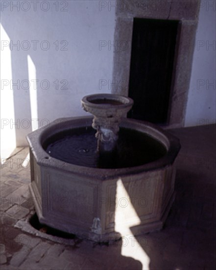 FUENTE DEL VESTIBULO DEL PALACIO
YUSTE, MONASTERIO
CACERES

This image is not downloadable.
