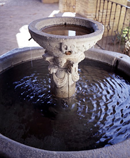 FUENTE DEL VESTIBULO DEL PALACIO
YUSTE, MONASTERIO
CACERES

This image is not downloadable.