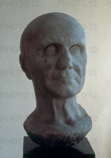 CABEZA VARONIL S I PROCEDE DE ASTA REGIA
JEREZ DE LA FRONTERA, MUSEO ARQUEOLOGICO
CADIZ