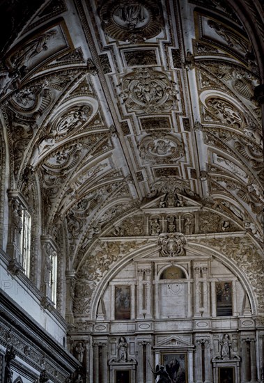 BOVEDA DEL CORO-NAVE CENTRAL
CORDOBA, CATEDRAL
CORDOBA

This image is not downloadable. Contact