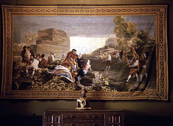 TAPIZ GOYESCO
SEVILLA, REALES ALCAZARES
SEVILLA

This image is not downloadable. Contact us for