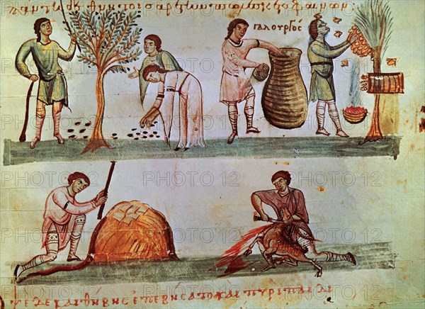 OPPIANO
MANUSCRITO- PAG ILUSTRADA- TRABAJOS DE OTOÑO-RECOLECCION DE FRUTA Y