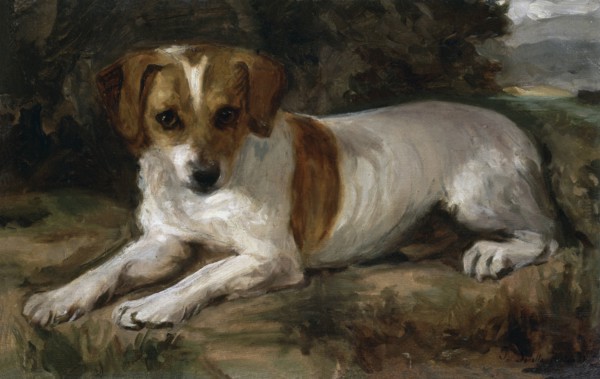 Sorolla, Un chien