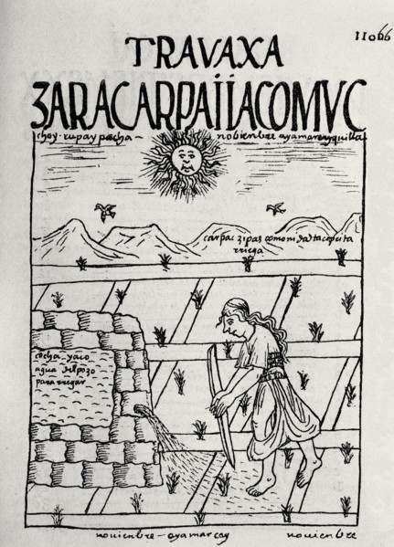Poma de Ayala, An inca peasant waters cultivations