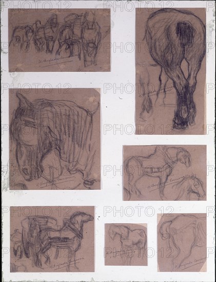 ANGLADA CAMARASA H 1871/1959
APUNTES DE CABALLOS 1900/1-CARBONCILLO/PAPEL
BARCELONA, BANCO
