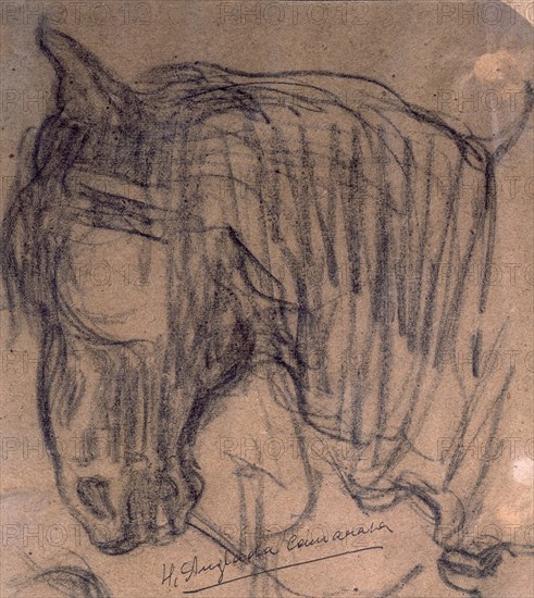 ANGLADA CAMARASA H 1871/1959
CABEZA DE CABALLO(C.1900/1)CARBONCILLO/PAPEL 20,8X18,7 CM
BARCELONA,
