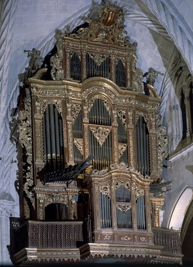 ORGANO
ORIHUELA, CATEDRAL
ALICANTE