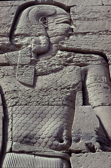 RELIEVES DE UN MURO
ASUAN, TEMPLO DE FILE
EGIPTO