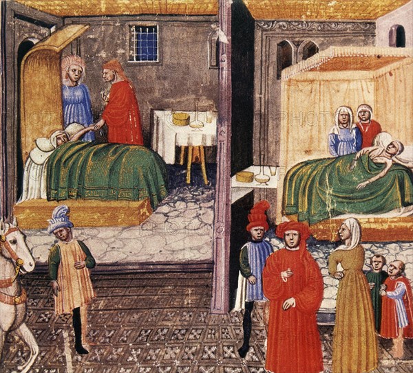 MS 2197 FOL 492- 1438 - CANON DE AVICENA - MEDICO VISITA ENFERMO
BOLONIA, B