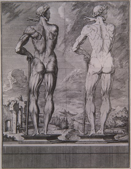 MARTINEZ CRISOSTOMO
ATLAS ANATOMICO - PAGINA CON ILUSTRACION
MADRID, BIBLIOTECA