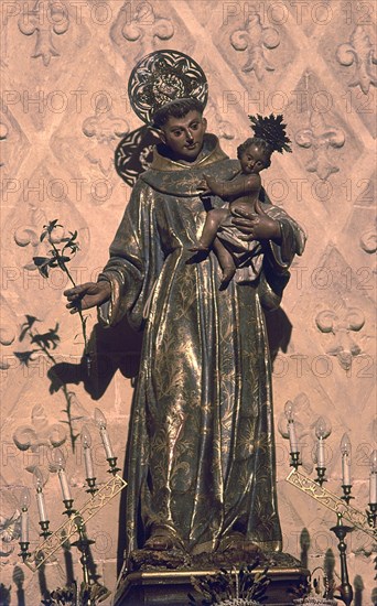 SALZILLO FRANCISCO 1707/83
CAPILLA DE SAN ANTONIO - SAN ANTONIO
MURCIA, CATEDRAL
MURCIA

This