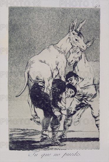 Goya, Capricho no. 42: Thou Who Canst Not