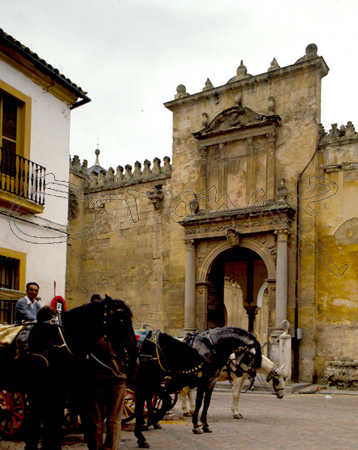 MEZQUITA-PUERTA DE STA CATALINA-COCHES DE CABALLOS
CORDOBA, MEZQUITA
CORDOBA