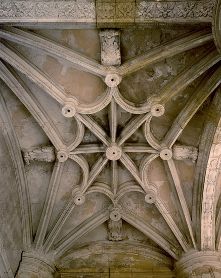 BOVEDA NERVADA
ALCALA REAL, IGLESIA DE LA MOTA
JAEN

This image is not downloadable. Contact us