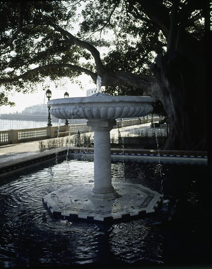 PASEO MARITIMO-FUENTE
CADIZ, EXTERIOR
CADIZ

This image is not downloadable. Contact us for the