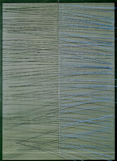 SOTO JESUS
PLANOS VIRTUALES EN AZUL Y NEGRO (1966)-PANEL MADERA PINTADO 90X130
SUIZA, COLECCION