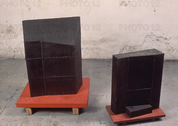 IRAZU PELLO 1963/
BIG BROTHER (1988) ESCULTURA 66*52*43 STELLAND PAINT
MADRID, GALERIA SOLEDAD