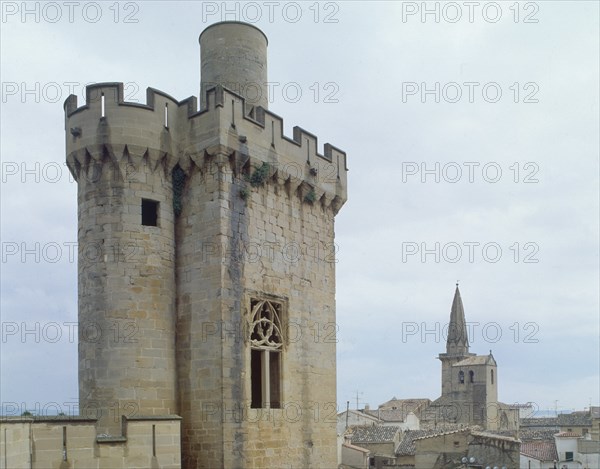 PALACIO REAL-DET TORREON ALMENADO
OLITE, CASTILLO-PALACIO REAL
NAVARRA