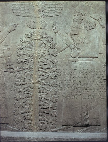 RELIEVE-ASHURNASIRPAL II-Y ARBOL SAGRADO-865 AC
LONDRES, BRITISH MUSEUM
INGLATERRA

This image