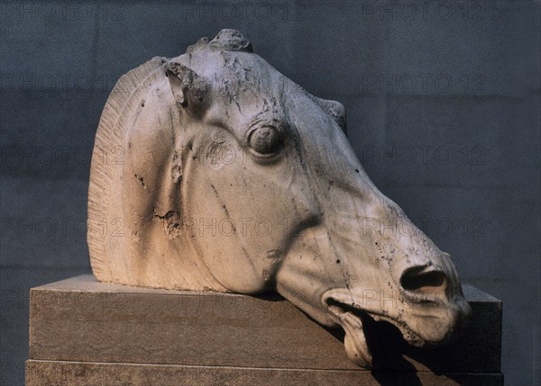 FIDIAS 490/430 AC
CABEZA DE CABALLO PROCEDE FRISO PARTENON GRECIA
LONDRES, BRITISH