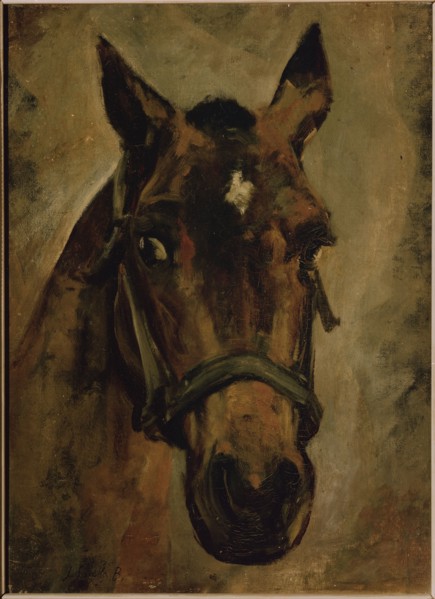 Sorolla, Tête de cheval