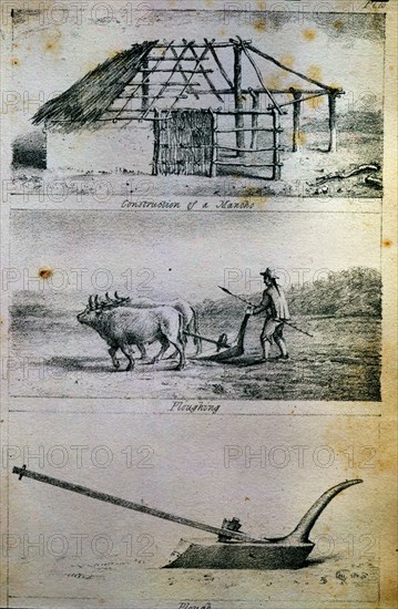 MIERS
TRAVELS IN CHILE-ARADO
MADRID, ACADEMIA DE HISTORIA
MADRID