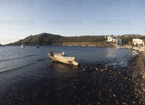 BAHIA-TRONCO DE ARBOL EN LA ORILLA
PORT LLIGAT, EXTERIOR
GERONA

This image is not downloadable
