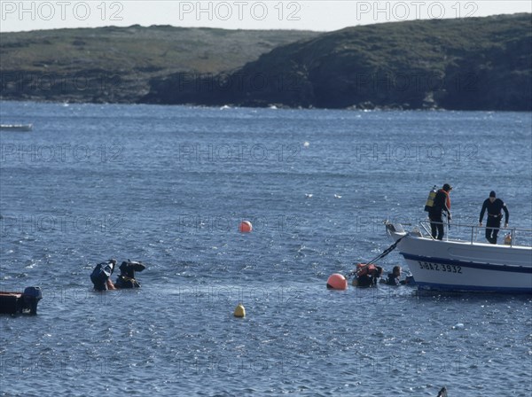 SUBMARINISTAS TRASLADANDO EQUIPO A UN BARCO
PORT LLIGAT, EXTERIOR
GERONA

This image is not