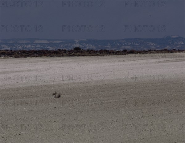 REGION DE LOS MONEGROS-CAMPOS LABRADOS PARA SEMBRAR
PROVINCIA, EXTERIOR
ZARAGOZA