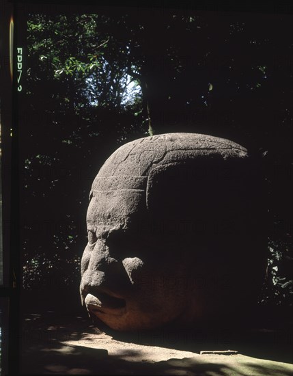 CABEZA COLOSAL OLMECA ESCULPIDA EN PIEDRA
VILLAHERMOS, MUSEO DE LA VENTA
MEXICO

This image is