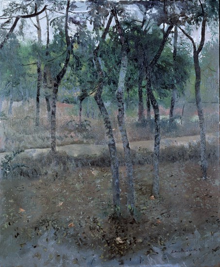 MAYA ANTONIO
PAISAJE
MADRID, BANCO DE ESPAÑA-COLECCIÓN ARTE
MADRID

This image is not