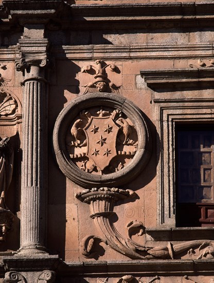 COVARRUBIAS ALONSO 1488/1570
EXTERIOR-DET FACHADA-ROSETA-
SALAMANCA, COLEGIO