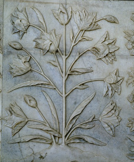 DET RELIEVE DE PARTE INFERIOR DEL MURO-MOTIVO VEGETAL LABRADO - S XVII
AGRA, TAJ