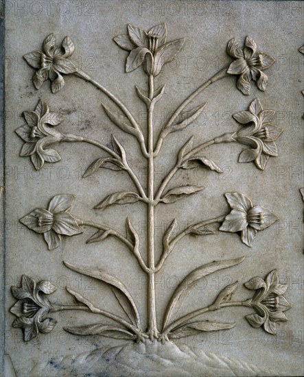 DET RELIEVE DE PARTE INFERIOR DEL MURO-MOTIVO VEGETAL LABRADO - S XVII
AGRA, TAJ