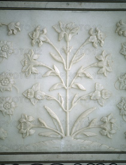 DET RELIEVE DE PARTE INFERIOR DEL MURO-MOTIVO VEGETAL LABRADO - S XVII
AGRA, TAJ