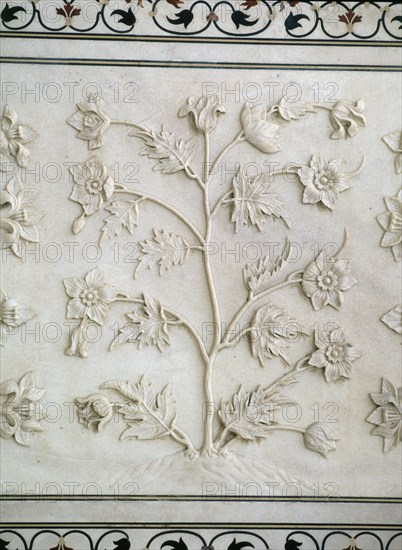DET RELIEVE DE PARTE INFERIOR DEL MURO-MOTIVO VEGETAL LABRADO - S XVII
AGRA, TAJ