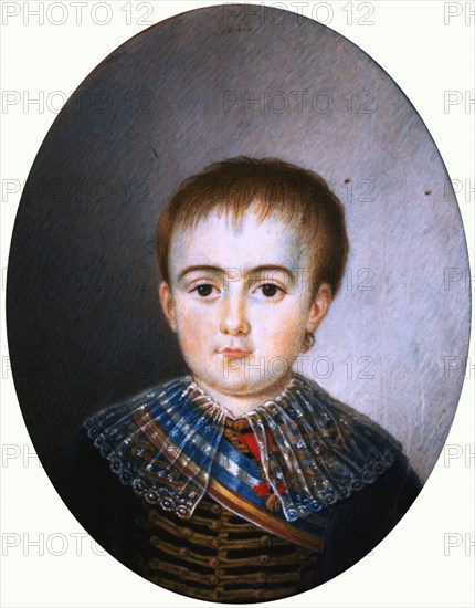 CRUZ Y RIOS LUIS DE 1776/1853
EL INFANTE FERNANDO MARIA DE BORBON
MADRID, PALACIO