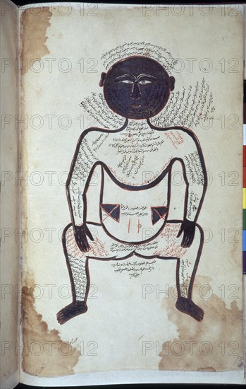TASRIH-I MANSURI
MANUSCRITO ARABE 2296 - DIAGRAMA ANATOMICO DE HOMBRE NEGRO F11- S XIII
LONDRES,