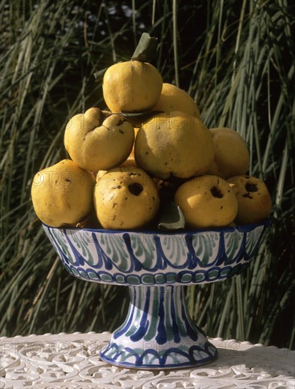 FRUTERO CON MEMBRILLOS-VIDRIADO Y DECORADO EN AZUL Y VERDE-ARTE POPULAR S XX
NIJAR, COLECCION