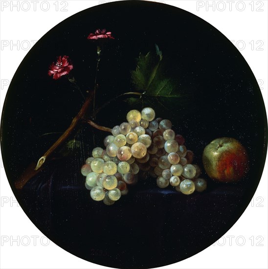 Fopens Van Es, Flowers and Fruits