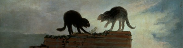 Goya, Cats fighting