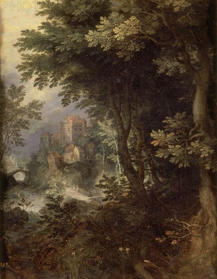 Coninxloo, Landscape