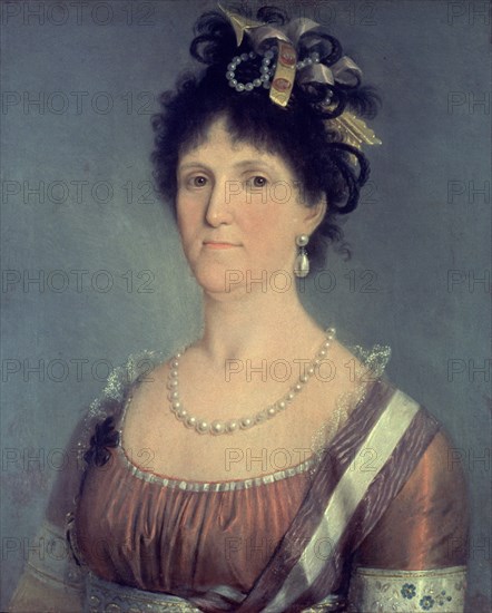 ESTEVE AGUSTIN 1753/1830
MARIA LUISA DE PARMA
HABANA LA, MUSEO NACIONAL
CUBA

This image is