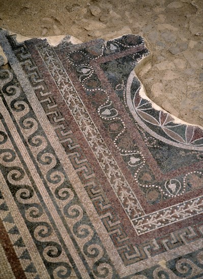 INTERIOR-DET MOSAICO DE MOTIVOS VEGETALES DEL SUELO PERTENECIENTE AL PERIODO DE HERODES
MASADA,