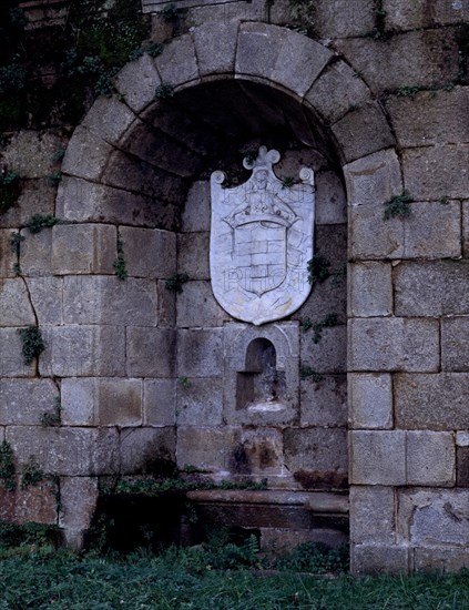 EXTERIOR-FUENTE CON ESCUDO
ABADIA, PALACIO DE SOTOFERMOSO
CACERES

This image is not