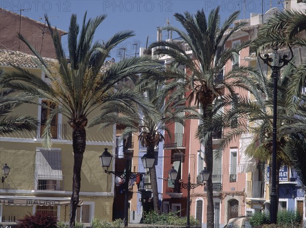 CASAS DE COLORES - PALMERAS
VILLAJOYOSA, EXTERIOR
ALICANTE

This image is not downloadable.