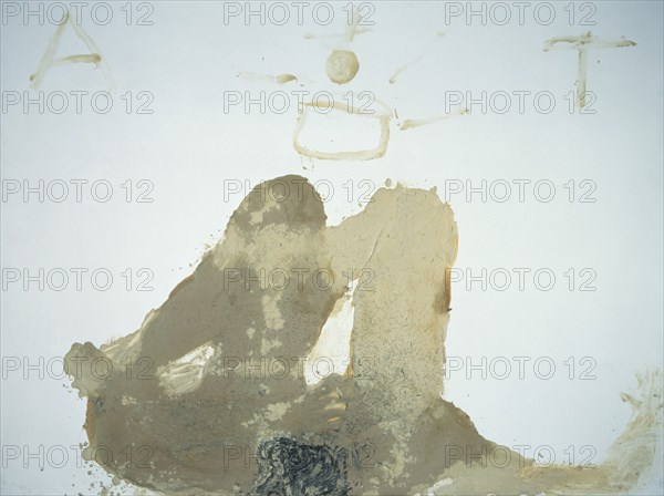 TAPIES ANTONI 1923-
VISIO - 1994- 226  X 300 cm - Polvo Marmol-Barniz-Collage/Tela
MADRID,
