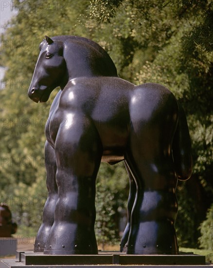 BOTERO FERNANDO 1932
CABALLO - VISTA LATERAL
MADRID, EXPOSICION BOTERO
MADRID