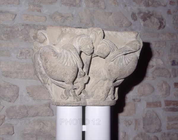 MUSEO - CAPITEL ROMANICO DECORADO CON ANIMALES FANTASTICOS- S XII
BOTAYA, MONANSTERIO DE SAN JUAN